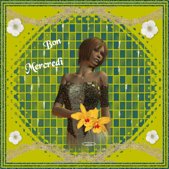 BONJOUR TS TTES  BON MERCREDI comme vs le souhaite cette jolie femme ��