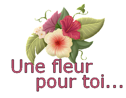 L ETE  Une fleur pour  Toi    dns tn coeur  tn esprit  tn &acirc;me  pr te donner  joie  sourire  gait&eacute;  beaut&eacute;  amiti&eacute; amour