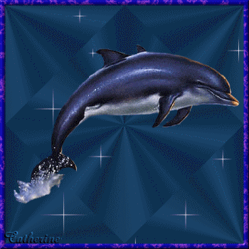 la mer soleil &eacute;t&eacute; plage;vacances ;les animaux comm ce beau dauphin sympa,beau Bleu bell &eacute;toiles !!!