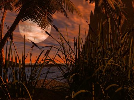 Bel &eacute;tang coucher de soleil jaune les rayons�la lune &eacute;claire paysage verdure,se refl&egrave;te sr l'eau�cela fait penser aux &eacute;tangs proches de la mer�id&eacute;e de se balader dehors le soir prendre l'air