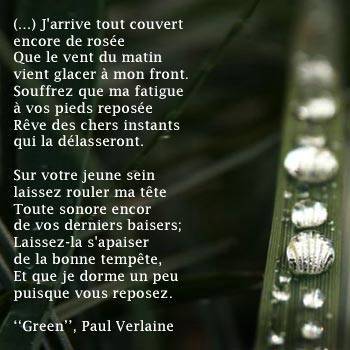 Belle po&eacute;sie de Paul Verlaine La Ros&eacute;e vien reposer mon corps fatigu&eacute; et apaiser mon mental�Que c'est beau et ressourcant !! amiti&eacute;s ts ttes  