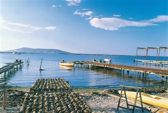 Un peu d'air je vs envoie de la mer;ici Etang de Thau pr&egrave;s de SETE� Parc &agrave; huitres Bouzigues c&eacute;l&egrave;bre village;derri&egrave;re S&egrave;te la mer�Beau la vue��si vs avez l'ocaz!! n'h&eacute;sitez ps venir ven