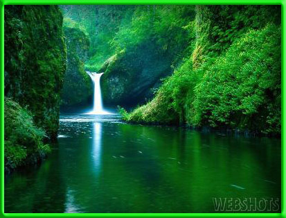 Que c'st Beau Ce Vert les arbres cett cascade fraicheur le soleil se refl&egrave;t les arbres vert se refl&egrave; dns l'eau par le soleil�Vert Couleur Espoir Esp&eacute;rance Sant&eacute; Ressource Un des Centres D 