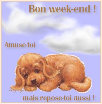iMAGE tte simple,mais bien sympa:ce chien beau regard doux qui r&eacute;clame amour tendresse calins se repos,et ns Souhaite Bon Week-end de ns Amuser,mais aussi de S Reposer�Il a raison!!oh oui!!   BONNE DO