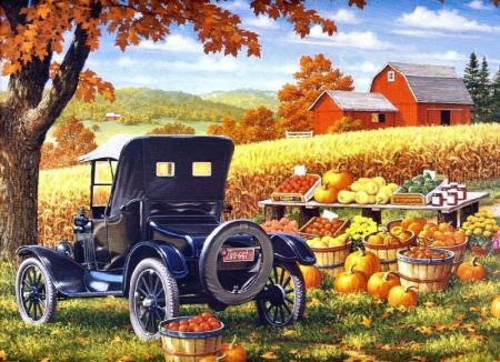 Pas mal cet voiture ancienne, dns campagne fruits l&eacute;gumes sr &eacute;tal,la ferme, tout &ccedil;a &ccedil;a me fait r&ecirc;ver surtout Aujourd'hui,apaise, j'en ai assez de la ville!enfin fau prend du bn cot&eacute; les chos