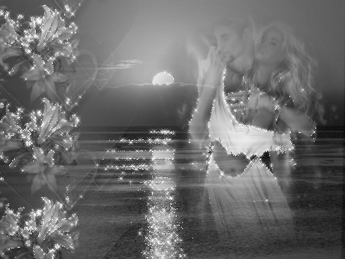 Photo image NOIR et Blanc mais beau,charme Amour avc ce couple les reflets de l'eau &eacute;clair&eacute;e par la lune &eacute;toiles,belles fleurs Coeurs brillent douceur tendresse amour complicit&eacute;�meme photos en No