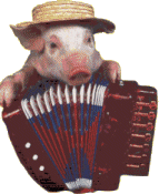 Rigolo;image D'un cochon air sympa chapeau sr la t&ecirc;te,ns joue Accord&eacute;on Musique,pr lui aussi C'est l'Et&eacute; la vie!!les animaux aussi ont besoin d'ambiance��mimi humour il en faut dn 