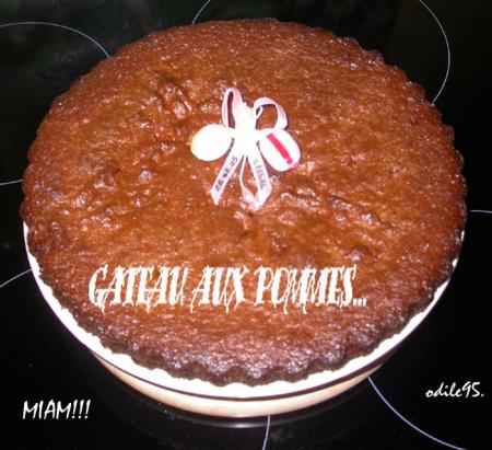 oui MIAM App&eacute;tissant G&acirc;teau aux pommes,qui peu &ecirc;tre aussi fruits saison p&ecirc;ches prunes abricots cerises fraises,plein d'id&eacute;es de recettes�BON APPETIT meme un peu tard!! DOUCE SOIREE  amiti&eacute;s  mari