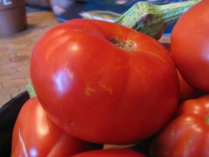 Bonsoir  BON APPETIT   Ces belles tomates rouges de saison  salade et autres  Montpellier Un peu de soleil je vs adresse
