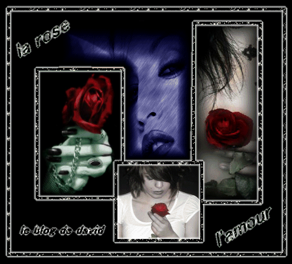 Photo plusieurs vue, une belle fille rose rouge, une fille pensive, et l'Amour  dans beau cadre NoirBlanc Brille,  cme l'Amour brille dans les coeurs l'esprit �� rayonne viens  Tendress