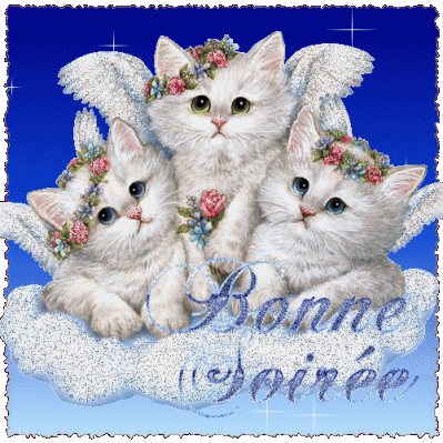 C'est Mimi ces Chats Blancs Complices ts les trois, jolies couronn de fleurs ils sont beaux Ns souhaite une BONNE SOIREE sr leur nuage coussin ouat&eacute; doux blanc et &eacute;toiles �� doux Coeur d'enf