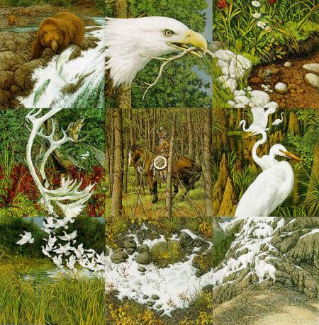 On rest dans la nature, et animaux  �  paysage superbe, &ccedil;a donne envie de ballades  et  de conna&icirc;tre��  Simplement  dns la joie dans le coeur je reviens avc plus d'images et un peu plus de parole