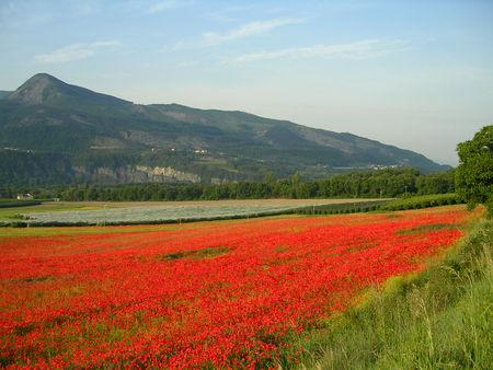 Beau paysage  montagne  pr&eacute;s verdure , fleurs,  tout ce qui m'attire, que j'aime ��  BON MARDI TS TTES   bizous  marie-andr&eacute;e,&&