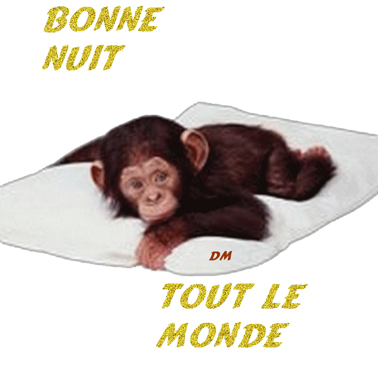 Mignon marrant : ce singe beau adorable sr son matelas blanc,se repose air Pensif�vient ns souhaiter BONNE NUIT A TOUT LE MONDE et en brillant!! mimi  Tendresse  c'est beau  et &ccedil;a me touche le co