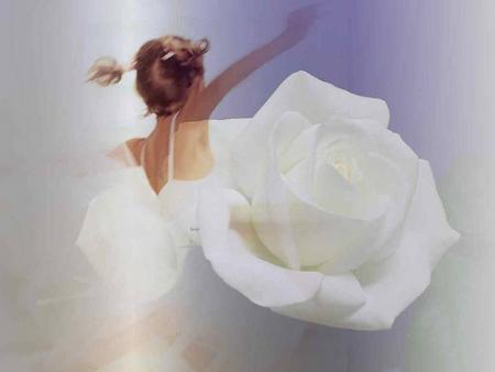 Photo qui m'a plu,j'ai eu un petit coup de coeur,par la puret&eacute; de cette rose blanche,douceur d'une belle jeune fille robe blanche on dirai qu'elle va s'envoler, r&ecirc;ve f&eacute;&eacute;rie,  