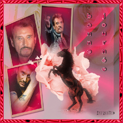 Coucou Johnny hallyday plusieur vues sous fond rose  une belle Fleur!! beau cheval �Vs souhaite Bonne Journ&eacute;e et bien c'st pareil le coeur y est: Bonne Soir&eacute;e �&agrave; ts ttes joie gaiet&eacute; humour� A B8I