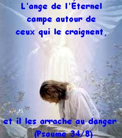 LeChrist:Belle photo d'Amour du Coeur d'humilit&eacute; simplicit&eacute; L'Ange de l'Eternel est l&agrave; autour de ceux qui le craignent,et les Sauve du Danger�la foi certes,il y en a pr il y en a  