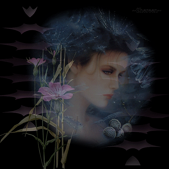 Amour Paix Lumi&egrave;re Joie un peu de tristesse blues dans le coeur, mais le soleil est l&agrave; &agrave; montpellier, j'esp&egrave;r que dns mon coeur, il sera + Pr&eacute;sent �  Bonweek-end ts ttes � marie-andr&eacute;e  bizz &&