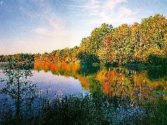 Bell photo sr la nature les arbres feuilles plusieurs tons de couleur�avc le soleil se refl&egrave;t dns l'eau�C'est l'automne oui : vue de ce que l'on voit dans la nature maintenant et c