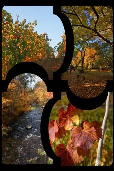 En Puzzle,ps mal cette photo sr plusieur paysages:rivi&egrave;re for&ecirc;t zone de promenade feuilles Verdure,feuilles cuivr&eacute;e: &ccedil;a fait penser &agrave; l'AUTOMNE et c'est bien beau/ j'aim l'automne�