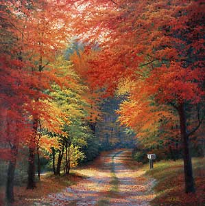 J'aime l'Automne Belle couleurs les feuilles la for&ecirc;t, le chemin le soleil passe &agrave; travers les branchages, image plein de po&eacute;sie et riche en couleurs � et remont le moral Apaise Ressource�� 