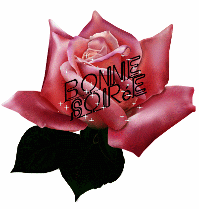 Une bell rose,rose brillante Etoiles,bellesFeuilles,pr Venir Ns Souhaiter Vs Souhaiter UNE BONNE SOIREE�Ce soir, j'ai la paix la joie le rire l'humour dans le coeur,l'esprit l'ame�