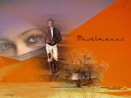 Michel Sardou:le sable une bell fem voil&eacute;e &agrave; l'arri&egrave;re beau regard d'une musulmaneComme sa C&eacute;l&egrave;bre Belle Chanson MUSULMANE et bell musique��  michel tout presq de cuir &ccedil;a lui va bien� BON ME