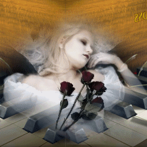 Apr&egrave;s le repos la Vie Revient, apr&egrave;s les pleurs la joie revient avec de belles rose, et le soleil ns &eacute;claire le Coeur� avec la musique Chanson et tjours Michel Sardou que j'ai dns le Coeur�Je vs 