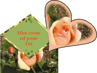 Sous fond de verdur,et en d&eacute;claration d'Amour 2 belle roses rose clair brille d'&eacute;toil blanch &eacute;tincelant,belle verdure:et pr t&eacute;moigner Sa Flamme d'Amour par ces belles roses: Mon Coeur e