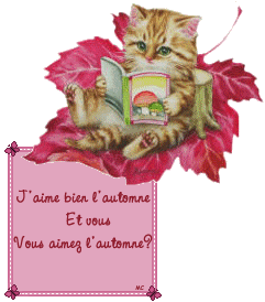 Comme ce peti chat tout mimi,blanc cr&egrave;me marron clair�lit,install&eacute;e sr belle feuille de vigne Rose marron un peu,ns demand si L'On Aim bien l'Automn Lui Oui,dit-il, c'est tout mimi et a