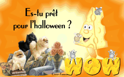 Comm ces animaux  mimi  et bien beaux, un bonhomm bien sympa et Fleurs Ns demande si l'on est pret pr l'HALLOWEEN?? oui  non, f&ecirc;te que l'on connait pas trop en france, bien que Articles