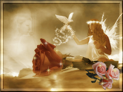 Image photo  empreinte  de beaut&eacute;  fraicheur Fleurs Etoiles, cette femme ange en blanc tr&egrave;s belle, Tient une Colombe:IMAGE de Paix s&eacute;r&eacute;nit&eacute; Amour Lumi&egrave;re Joie �&ccedil;a remont le moral, et il en faut du cou