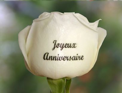 Une rose blanche : vvs demandez Pourquoi: et oui DImanche 12 10 : c'&eacute;tait MON ANNIVERSAIRE, et oui va ainsi la vie, une page de PLUS SE TOURNE !! il faut garder l'esprit jeune &agrave; n'impor