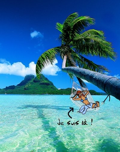 Ca rappelle l'Et&eacute;, en ce mois d'octobre, un peu grisaille !!   les vacances !! souvenir souvenir!!  c'est beau ce bleu  l'oc&eacute;an ce beau palmier!! ce paysage bien attirant pr y alle