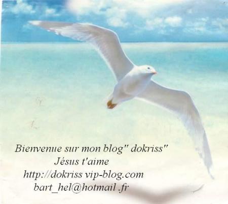 Beau cadeau du Blog de Dokriss� Magnifiue Oiseau blanc Paix Amour Lumi&egrave;re,pr Illustrer et fair comprendr que JESUS Que Dieu EST LA ET T'AIME�que tu y croie ou non��je respect ttes opinions ttes c