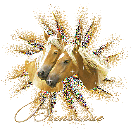 BIENVENUE  comm vs le souhaite  en couleurs Lumi&egrave;re Dor&eacute;e Soleil,Etoiles  ces Deux Beaux Chevaux compllices Leur Amiti&eacute; est Belle��BON JEUDI  Mil bizz &