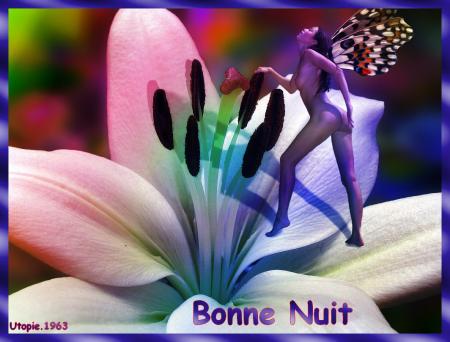 Une belle fleur Epanouie, et vient se poser une femme belle,dns son intimit&eacute;,ailes de papillons couleurs,vs Souhaiter BONNE NUIT� Doux r&ecirc;ves color&eacute;s Amour D&eacute;sir �Sensualit&eacute; � Tendresse  Douceur de la 