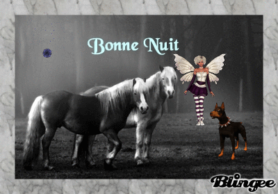 2 Cheveaux belle crini&egrave;re,un chien,feu d'artifice bleu, un ange f&eacute;minin vient Ns souhaiter une Bonne Nuit� DOUX REVES Gaiet&eacute; Couleurs Joie, com ce Feu d'Artifice � A demain  mil bizous&