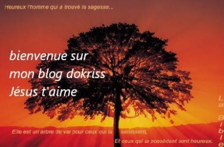 mERCI A   Dokriss, son blog superbe, amour lumi&egrave;re paix Couleurs � JESUS EST LA  AVC NS  � ET T'AIME �� BELLE JOURNEE  GAIE   � A CE SOIR   BIZ � Je vs Aime Amicalement � Mon Amour Pat Je t'