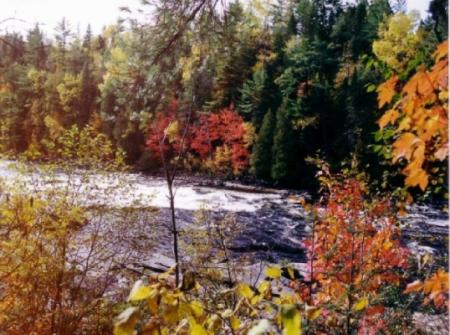 Rivi&egrave;re coule, cascade, For&ecirc;t  l'automne  que c'est joli, ces diff&eacute;rents tons de couleurs,c'est gai, donne inspiration Po&eacute;sie  Peinture, Cr&eacute;ativit&eacute;,  &agrave; la chanson,� &agrave; se ballader  Natur