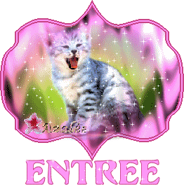 ENTREE : aussi  par  les Chats, et en COULEURS, fLEURS VERDURE �� on dirait qu'il chant ce beau chat�amusant et mimi && 