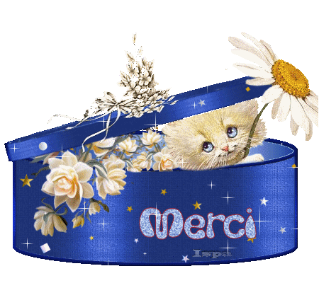 Comm ce beau chat blanc fleurs, on l'aper&ccedil;oit dns bte semi-ouverte,et ns Dit MERCI � de le Voir,Moi aussi je vs dis MERCI De vos Visites ��de vtre amiti&eacute;&A DEMAIN� DOUCE NUIT &&