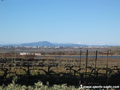 En automne,la campagne HERAULTAISE, les vignes et au loin le PIC SAINT LOUP, site village bien joli pittoresque,int&eacute;ressant beau &agrave; VISITER  DECOUVRIR!!!