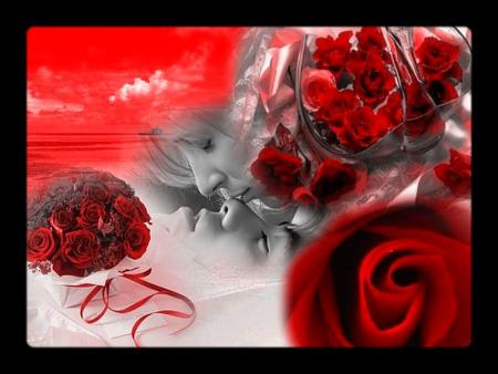 Tendresse Amour  Ce couple attir&eacute; l'un par l'autre � Blanc Noir Rouge, ces belles roses  rouges��  belle photo  et  image �� &&