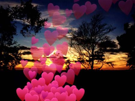 Bonjour  bonsoir  voila le week end termin&eacute;, une autre semaine repart,et je reviens vers Vous, Vous offrir Images et ressentis de mn Coeur, dema vie, �