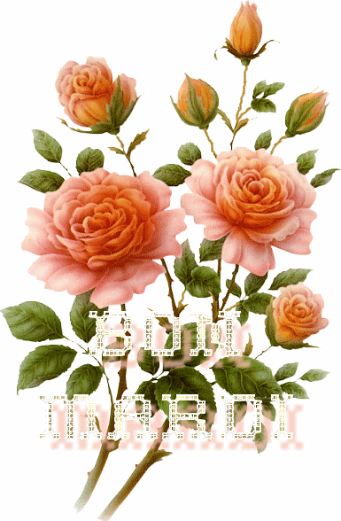 Je vs offrre avec tout mon coeur de joie d'amiti&eacute; et sinc&eacute;rit&eacute; ce bouquet de roses rose orang&eacute;  d'une couleur que j'ador!pr venir vs souhaiter UN BON MARDI ��  Que le soleil et les fleu