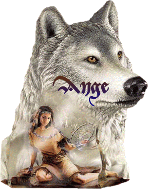 J'ai eu coup de Foudre sur cette image, Beau chien, prot&egrave;ge sa maitresse, belle am&eacute;rindienne,oui ce chien est Un ANGE, comme son Pr&eacute;nom!!! Belle pens&eacute;e !  Bisous BONNE SOIREE &Marie-andr&eacute;e&