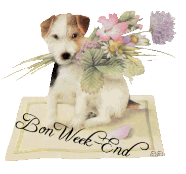.   Il est adorable  de chien  tout beau  avc  ces fleurs qu'il ns offrent color&eacute;es,elles sont�pr ns souhaiter un BON WEEK END � une DOUCE NUIT �  UN  BON DIMANCHE &&