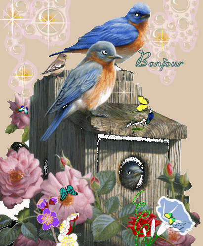 . Bien jolis et mignons ces oiseaux  ns disent Bonjour, avec fleurs papillons ,soleil lumi&egrave;re,plein de COULEURS�� virtuel bouge, image vivante attire  Beaut&eacute; du Regard�Po&eacute;sie Peinture Chanter Ecouter 