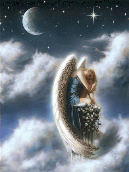 ;                  .